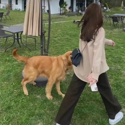 摩登家庭